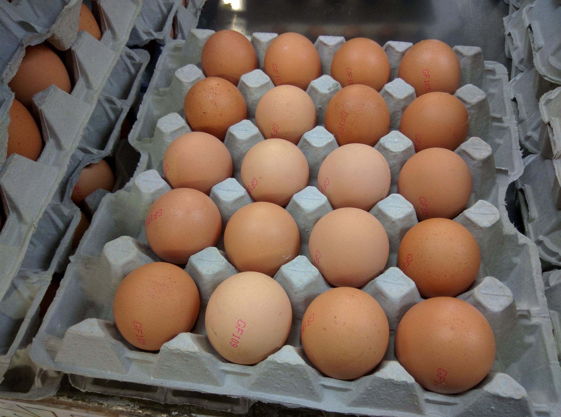 Bird Flu Impacting Egg Prices KIWA Radio