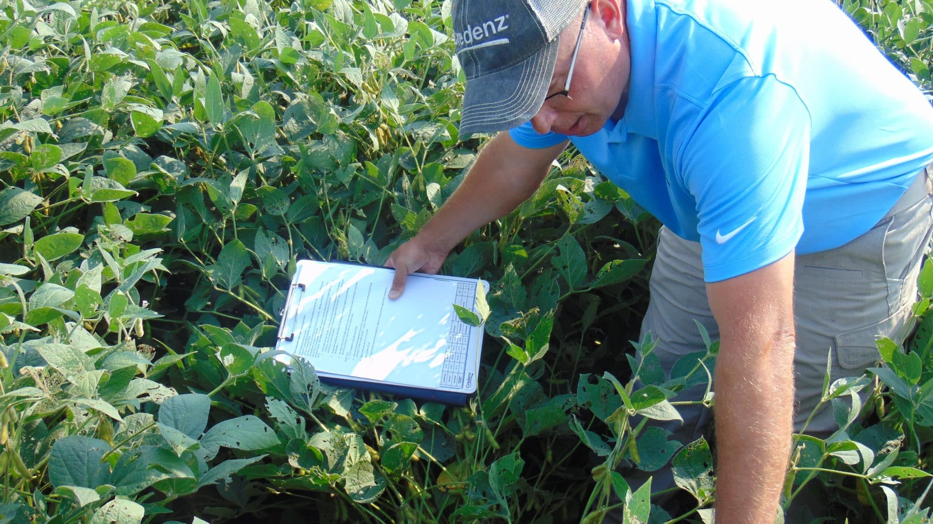 Three keys to maximize soybean yields KIWA Radio