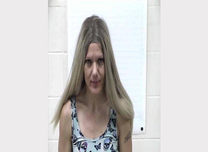 Sioux Falls Woman Arrested, Accused Of Forging Checks In Lyon County ...