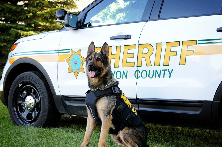 Lyon County Deputies Say A Final Goodbye To K9 Athos - KIWA Radio