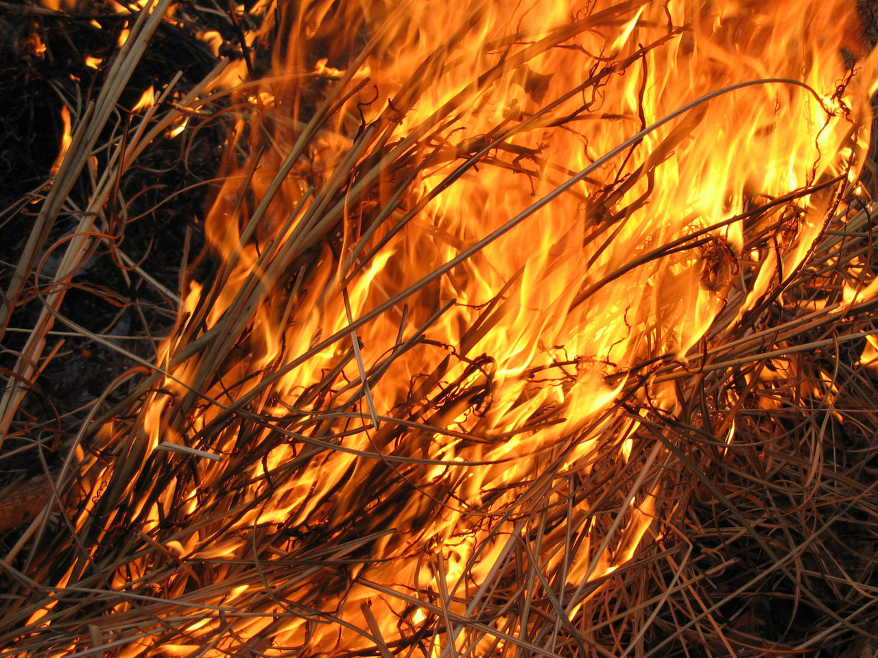 Burn Ban Northwest Iowa County Count Hits Five.