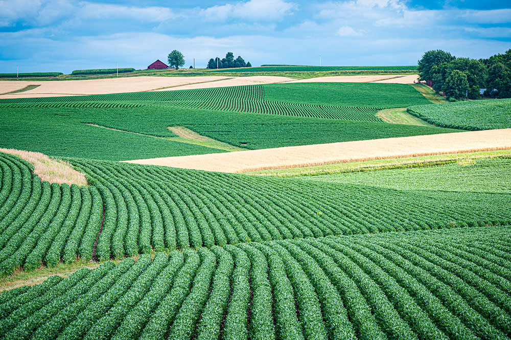 The crop insurance rebate program deadline is approaching