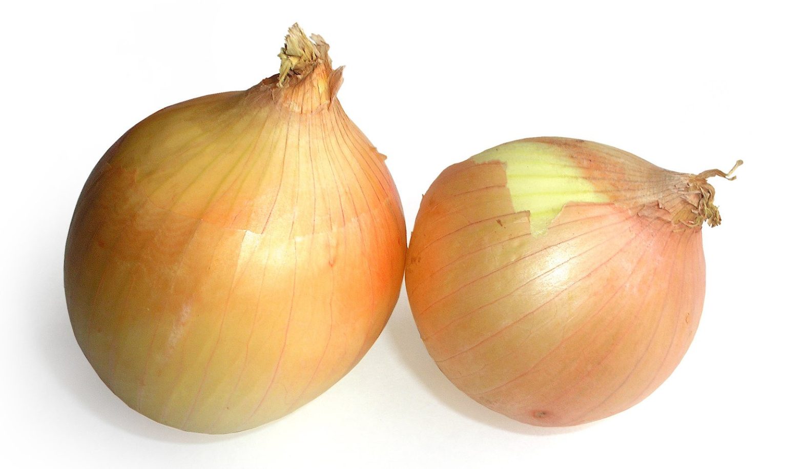 Onion Recall Includes Some Onions That Were Sold At HyVee KIWA Radio